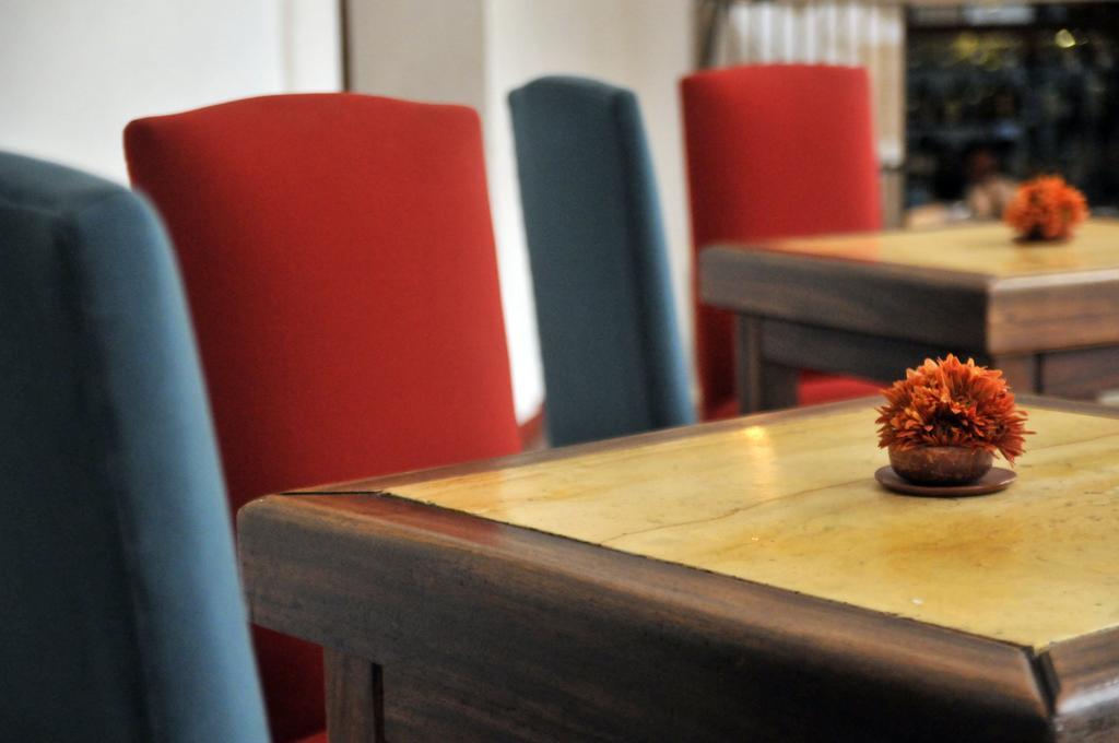 Casa Oaxaca Hotel Ngoại thất bức ảnh